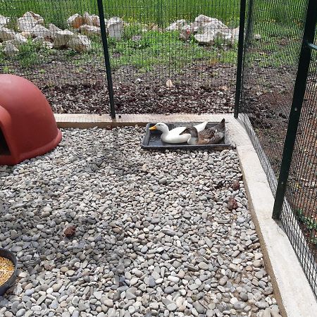 马丁纳弗兰卡Trullo Della Rosa别墅 外观 照片