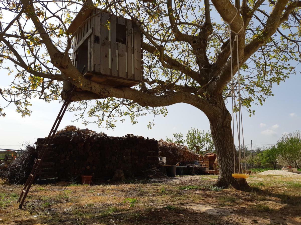 马丁纳弗兰卡Trullo Della Rosa别墅 外观 照片